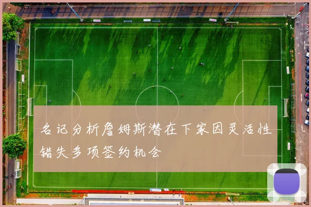 名记分析詹姆斯潜在下家因灵活性错失多项签约机会